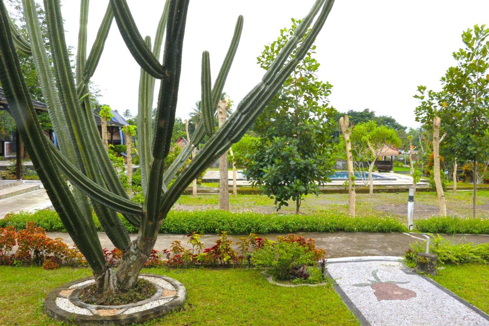 Green Orry Inn Tetebatu Ngoại thất bức ảnh