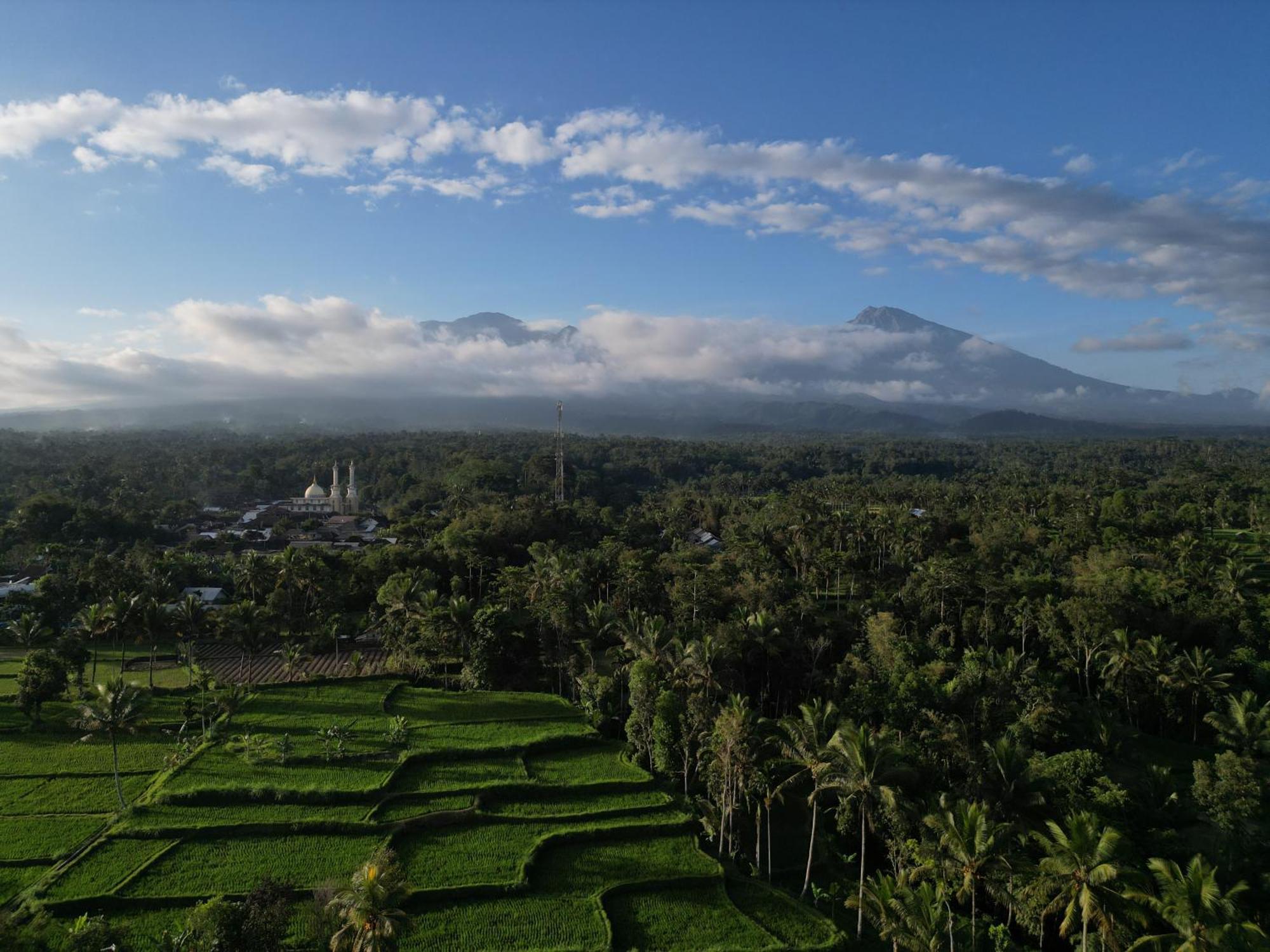 Green Orry Inn Tetebatu Ngoại thất bức ảnh